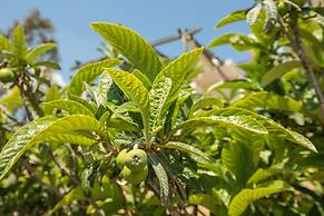 Splendid Views from a Cozy Cottage with a Garden Terrace
