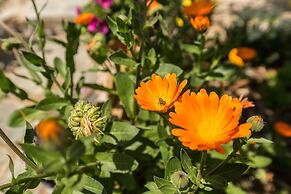 Splendid Views from a Cozy Cottage with a Garden Terrace