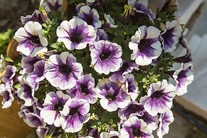 Splendid Views from a Cozy Cottage with a Garden Terrace