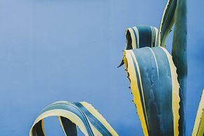 Stylish Garden Home - Holidays in Chania