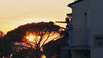 Olive Suites - Hotel & Resort Adria Ankaran