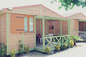 Camping Sènia Caballo de Mar