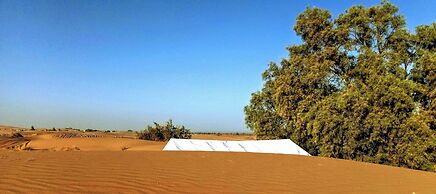 Bivouac Erg Merzouga - Campsite