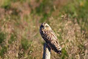 Guesthouse Narfastaðir