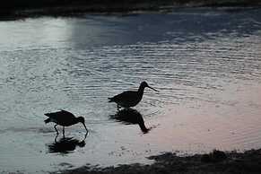 Guesthouse Narfastaðir