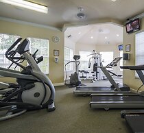 Summer Palm Retreat by VillaDirect