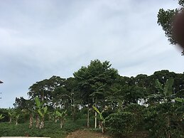 Ben And Lily Cottages