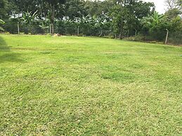 Ben And Lily Cottages