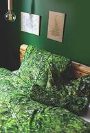Green Deer Premium