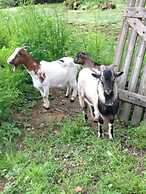 Chambres d'Hotes la Source