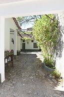 Vumba - House of the Lizard