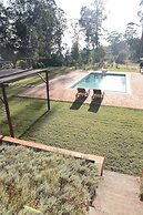 Vumba - House of the Lizard