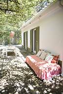 Vumba - House of the Lizard