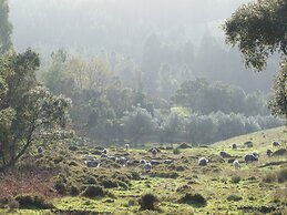 Vumba - House of the Lizard