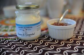 Vumba - House of the Lizard