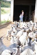 Vumba - House of the Lizard