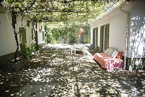 Vumba - House of the Lizard