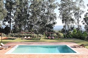 Vumba - House of the Lizard