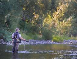 Vumba - House of the Lizard