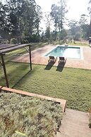 Vumba - House of the Lizard