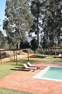 Vumba - House of the Lizard