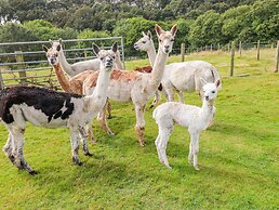 Shepherds Hut - The Crook