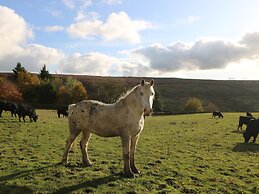 The Old Shippon Mews