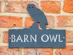 Barn Owl