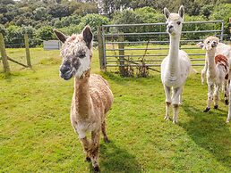 Shepherds Hut - The Hurdle
