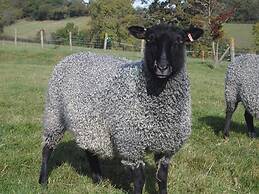 Whitehall Farm Cottage