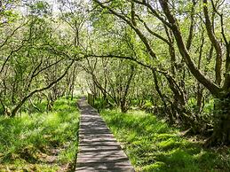 Nant Y Gwernan