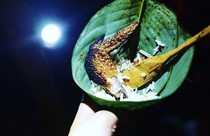 Anaconda Amazon Resort