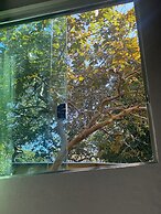 Anaconda Amazon Resort