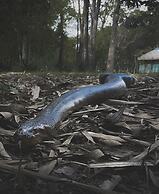 Anaconda Amazon Resort