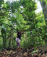 Anaconda Amazon Resort