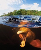 Anaconda Amazon Resort