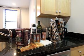 Luxury & Stylish 1br/1ba in Boston South End - BU Medical