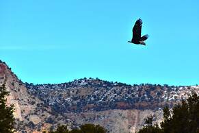 Arrowhead Country Cabins
