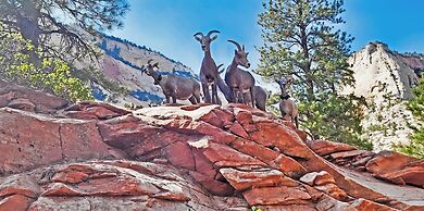Arrowhead Country Cabins