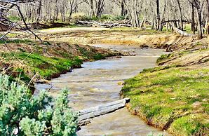 Arrowhead Country Cabins