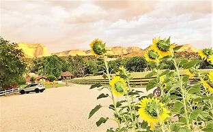 Arrowhead Country Cabins