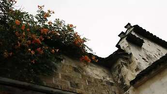 Pig's Inn Huangshan Xidi