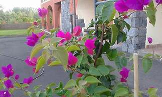 Il Sentiero degli Ulivi