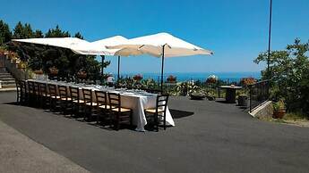 Il Sentiero degli Ulivi