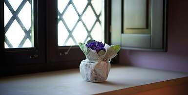 Il Sentiero degli Ulivi