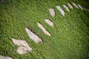 Luxury Chianti in La Farfalla