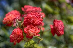 Luxury Chianti in La Farfalla