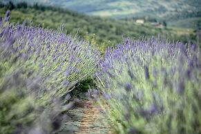 Luxury Chianti in La Farfalla