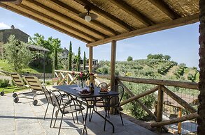 Under the Chianti Sun