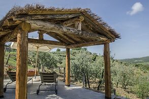 Under the Chianti Sun
